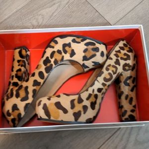 Steve Madden size 10 leopard heels